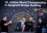 开云体育入口-匈牙利队在比赛中夺冠，成功晋级比赛