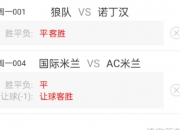 开云体育在线-关于意甲名将传出伤情，影响球队战绩的信息