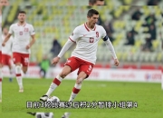 开云体育平台APP-捷克队客场战平摩尔多瓦，欧预赛首轮未能取胜的简单介绍