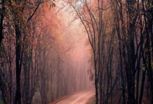 开云体育入口-塞维利亚奇迹翻盘罗马，罗本高光时刻闪耀欧洲赛场