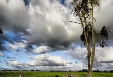 开云体育在线-中国男篮险胜凯尔特人，杰伦·布朗送出助攻