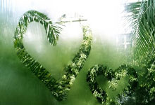 -印度羽毛球队碾压泰国羽毛球队，辛杜制霸全场：羽坛新王的崛起之路