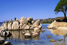 开云APP-EG力克CLG，Mickey创造历史新高！