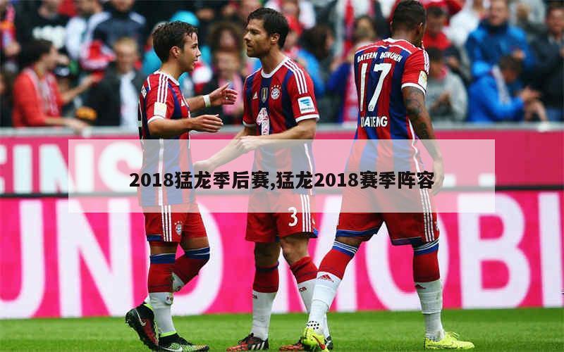 猛龙队赢得关键战役，豪取四连胜