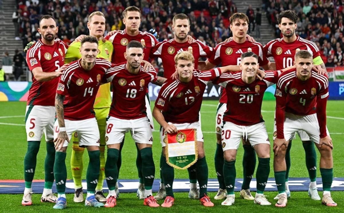 波黑国际队与芬兰队展开对抗,争夺胜利的简单介绍 波黑国际队与芬兰队展开对抗,争夺胜利的简单介绍