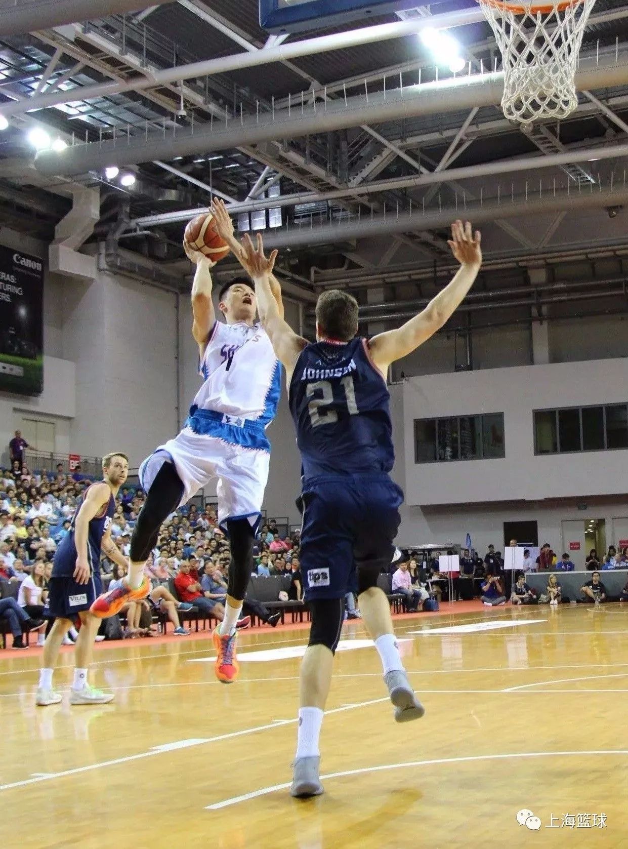 包含澳洲篮球队在跨国锦标中一路高歌的词条