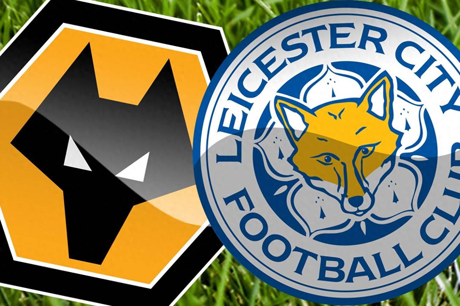 狼队球员成功逆转英超保级形势的简单介绍 狼队球员成功逆转英超保级形势的简单介绍