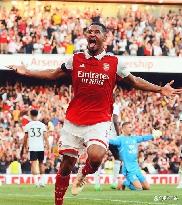 关于阿森纳球迷喜迎球队新援，期待提升球队战绩的信息