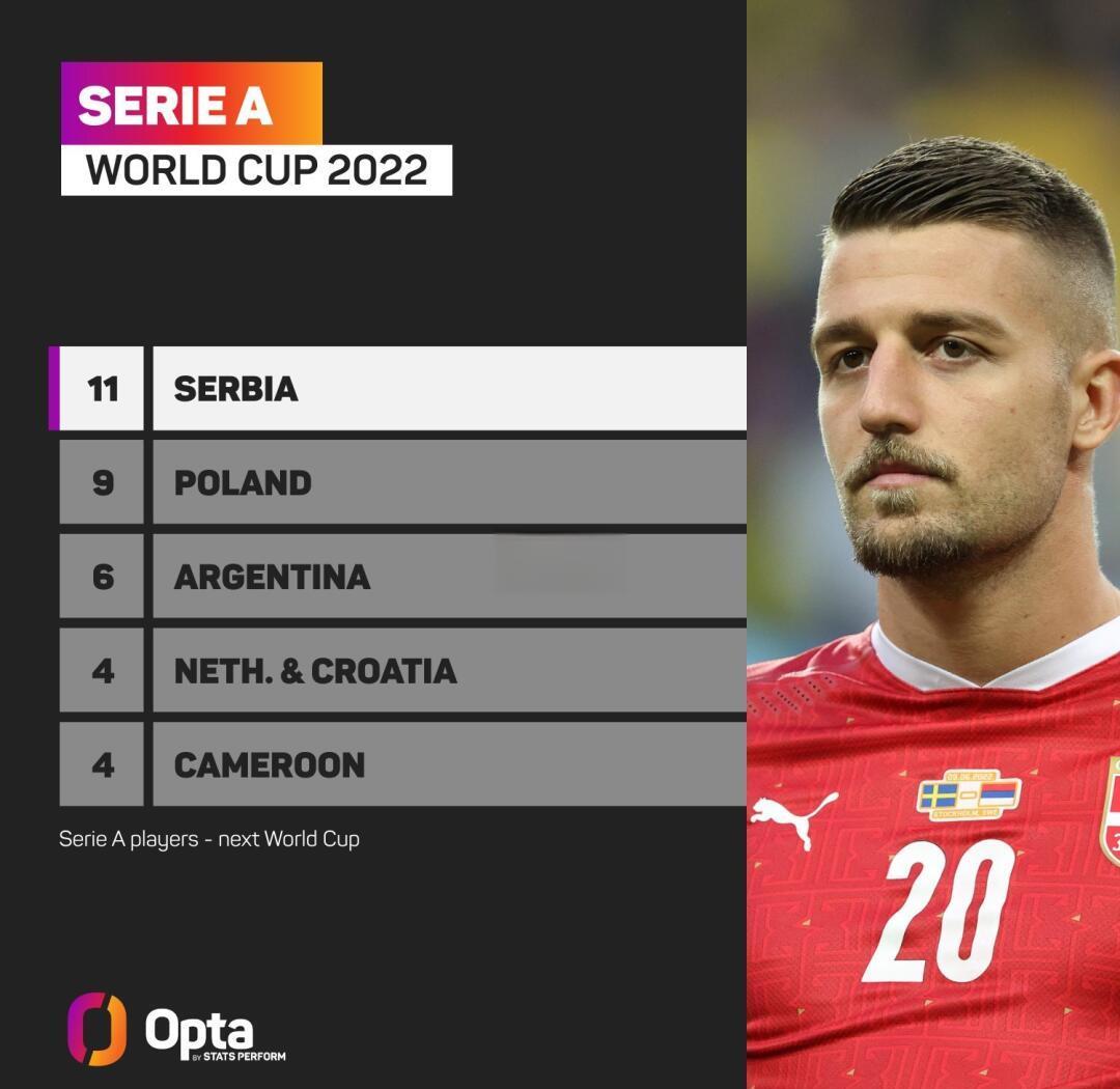 塞尔维亚国脚在球场上展现出色的简单介绍