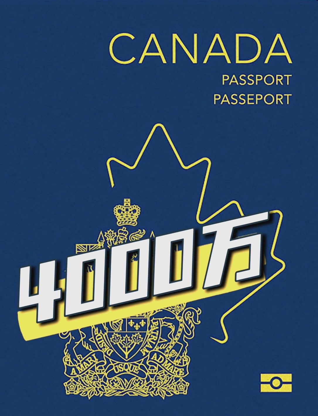 加拿大代表表现抢眼，收获关注